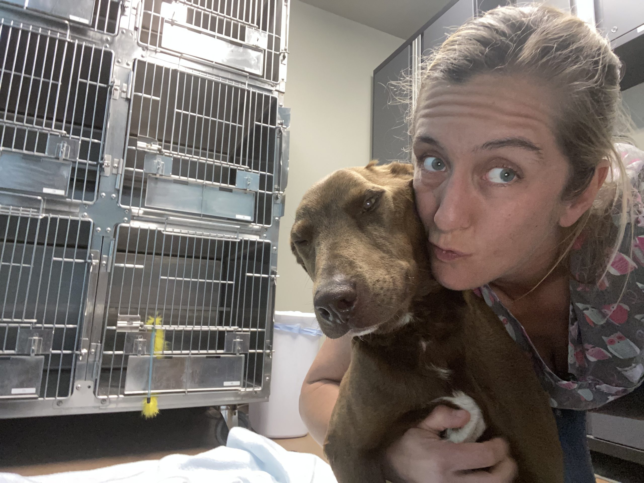 High Prairie Veterinary Services Gallery Vet Clinic In Colstrip