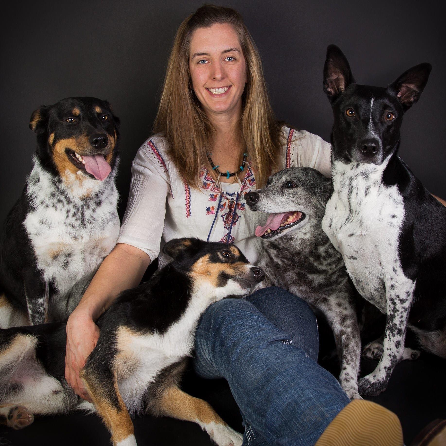 High Prairie Veterinary Services Gallery Vet Clinic In Colstrip