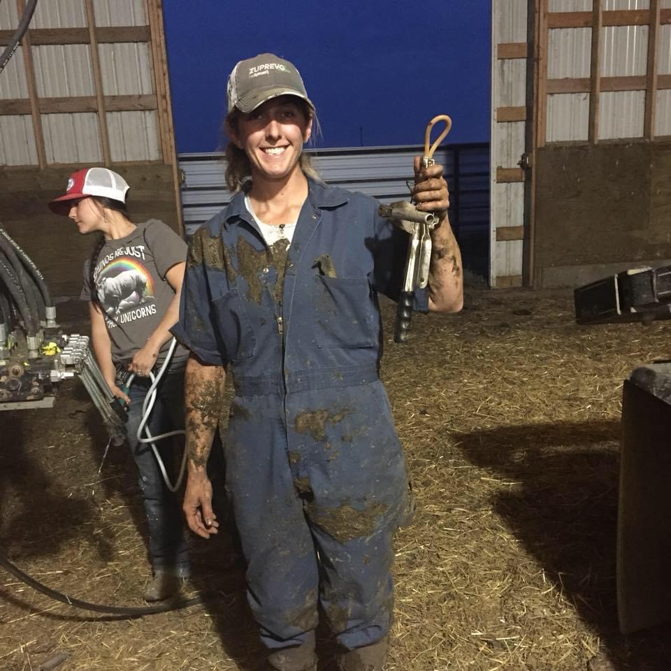 High Prairie Veterinary Services Gallery Vet Clinic In Colstrip