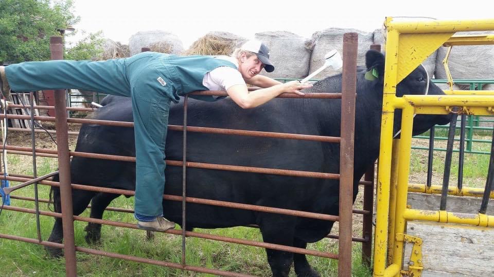 High Prairie Veterinary Services Gallery Vet Clinic In Colstrip
