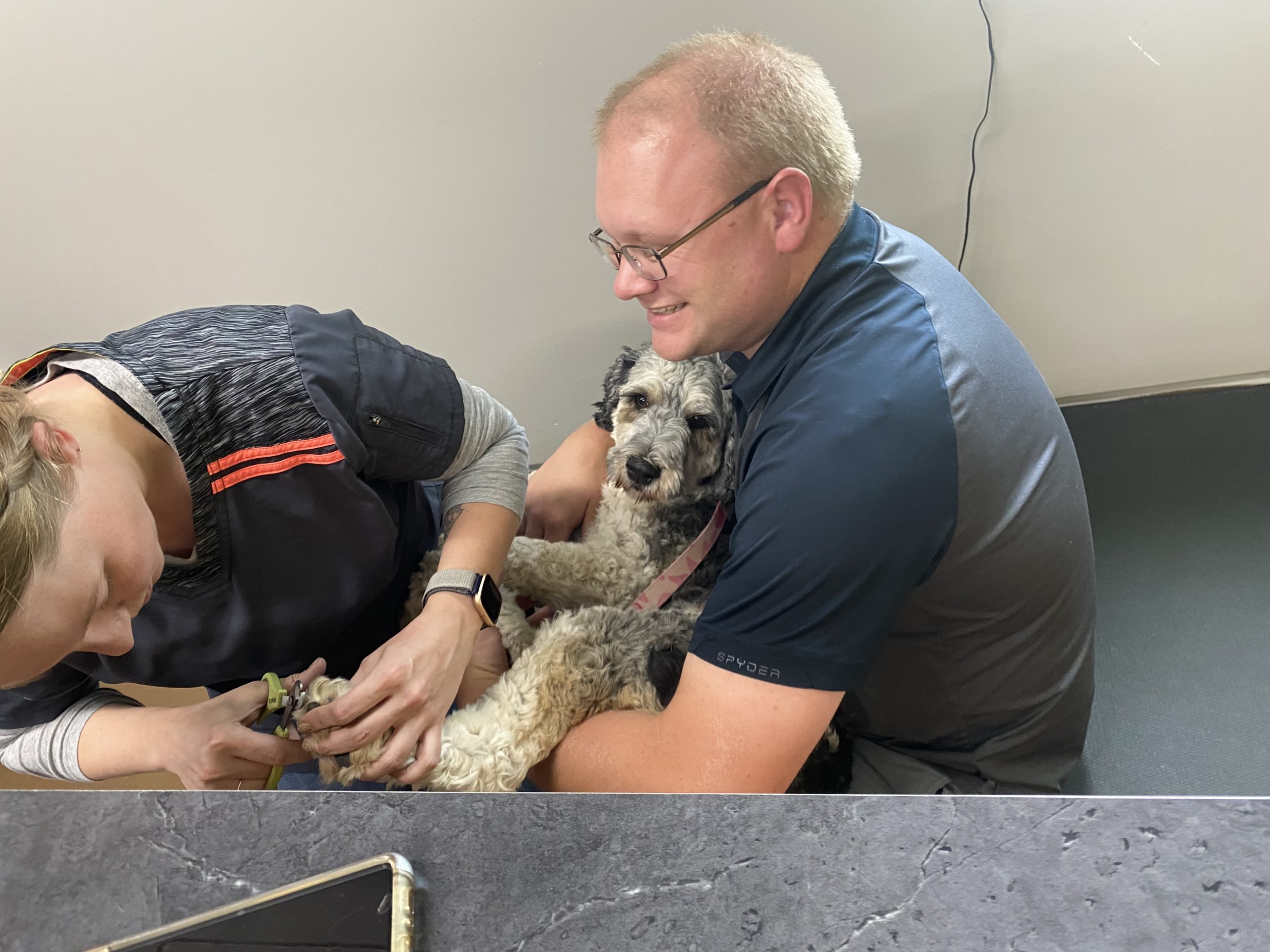 High Prairie Veterinary Services Gallery Vet Clinic In Colstrip