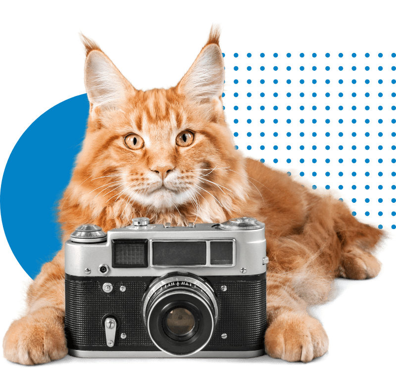 High Prairie Veterinary Services Gallery Vet Clinic In Colstrip