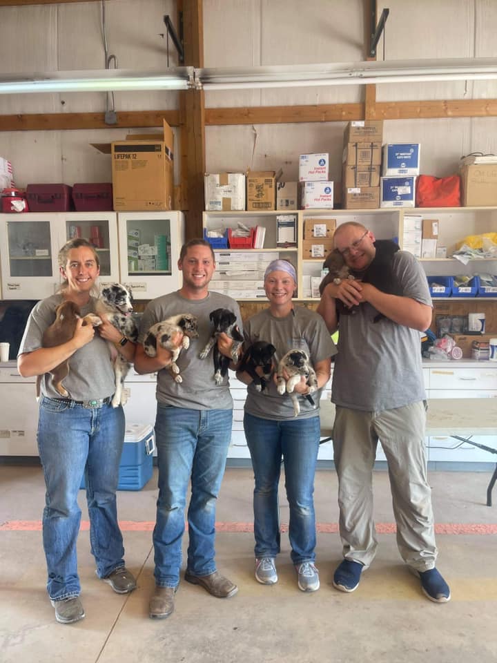 High Prairie Veterinary Services Gallery Vet Clinic In Colstrip