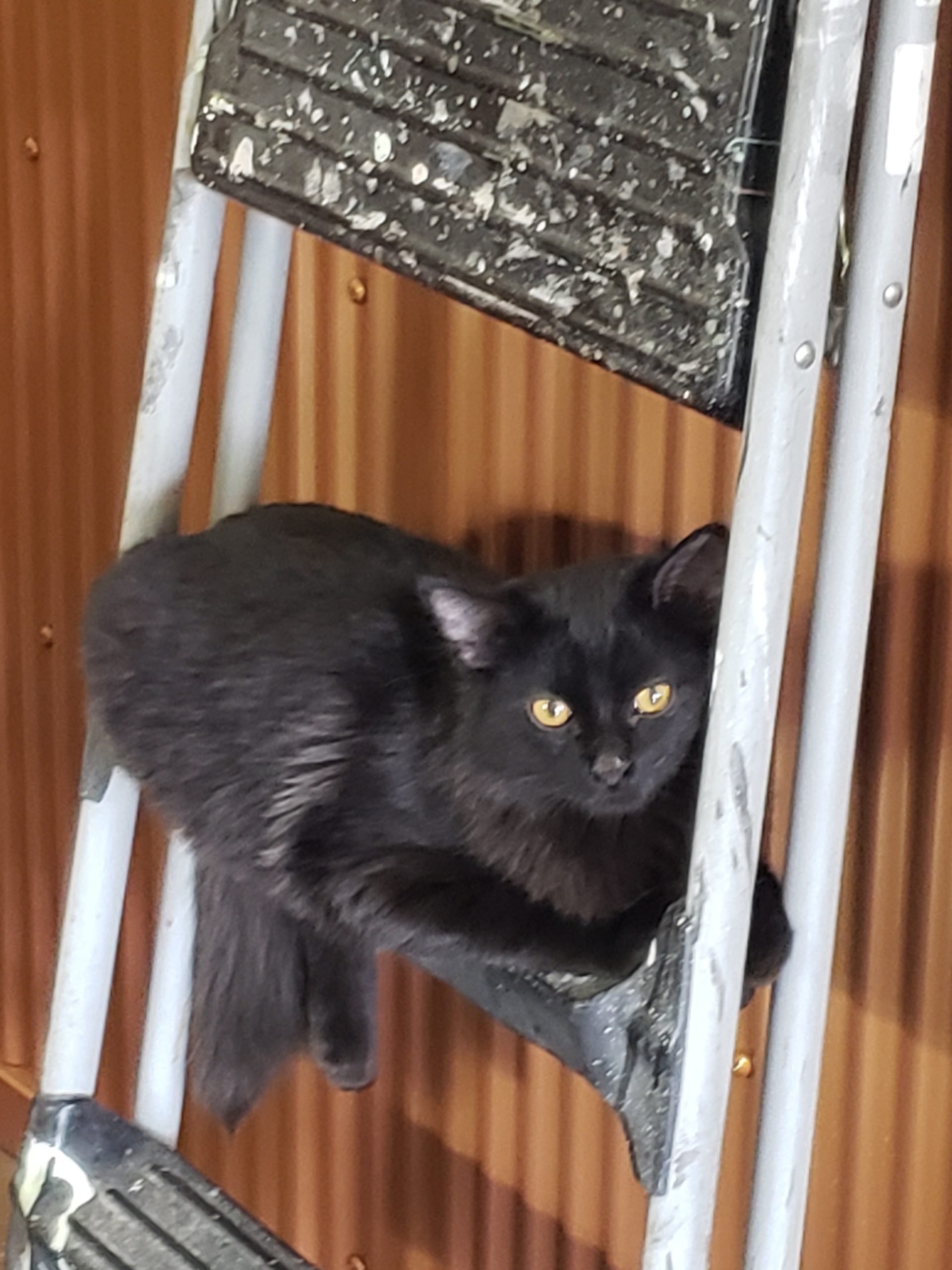 High Prairie Veterinary Services Gallery Vet Clinic In Colstrip