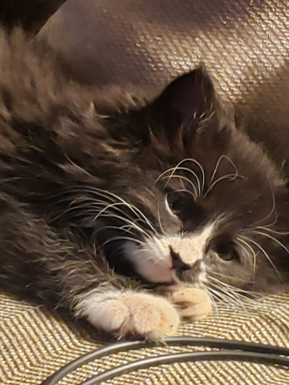 High Prairie Veterinary Services Gallery Vet Clinic In Colstrip