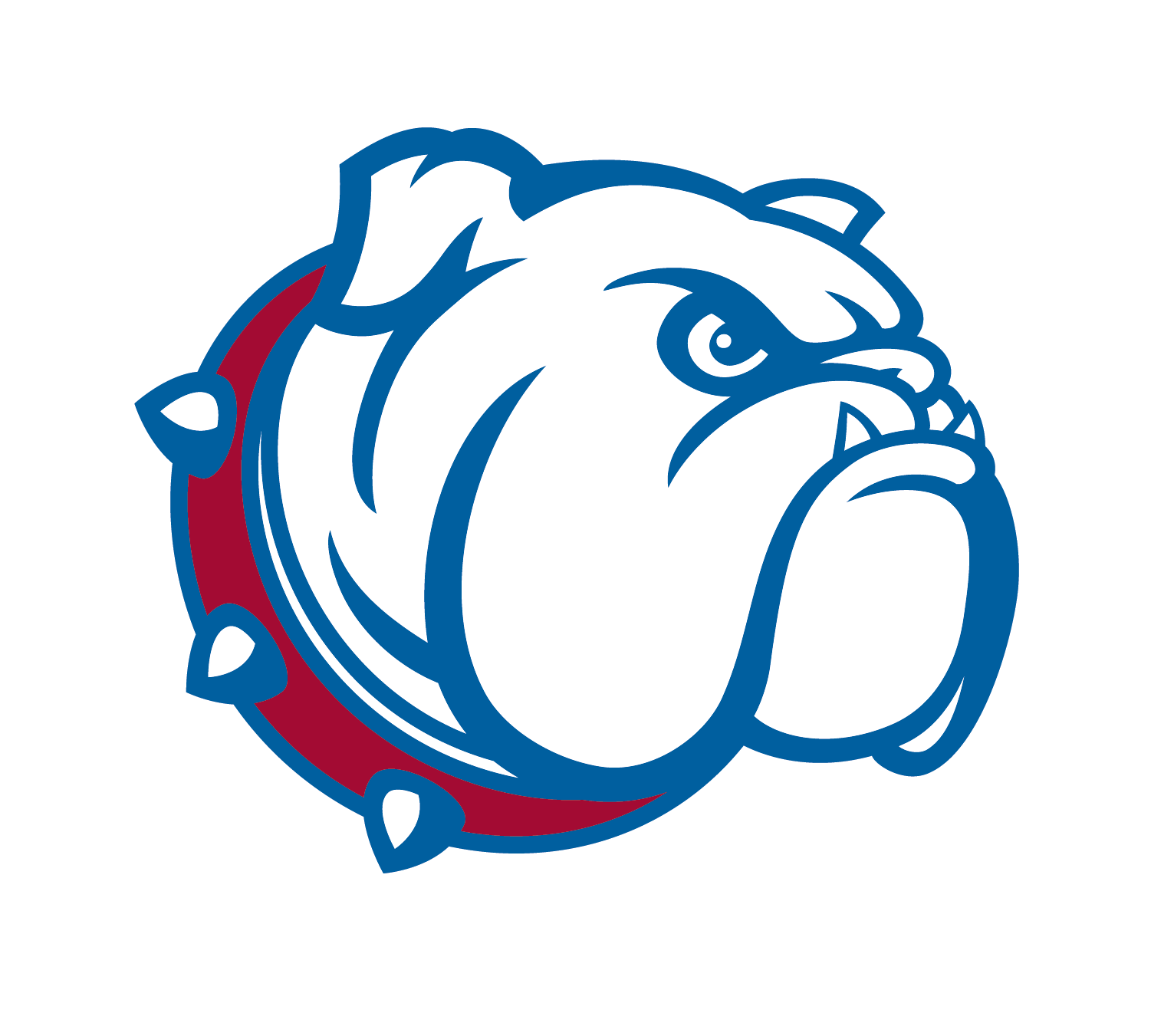 South Glens Falls Bulldogs Basketball (Boys)