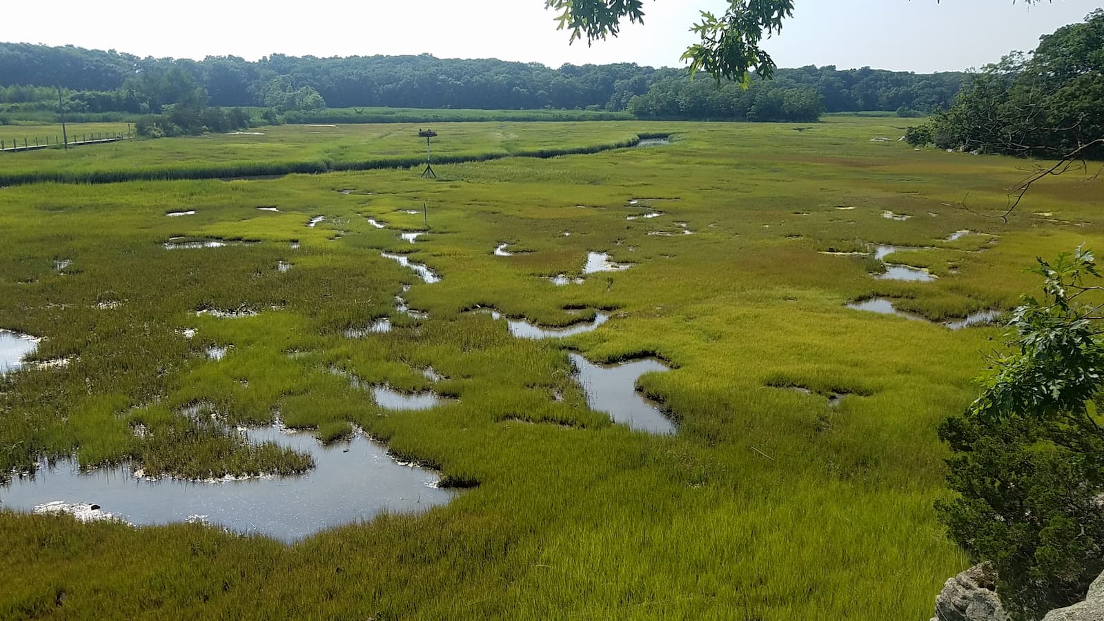 Land Protection Highstead