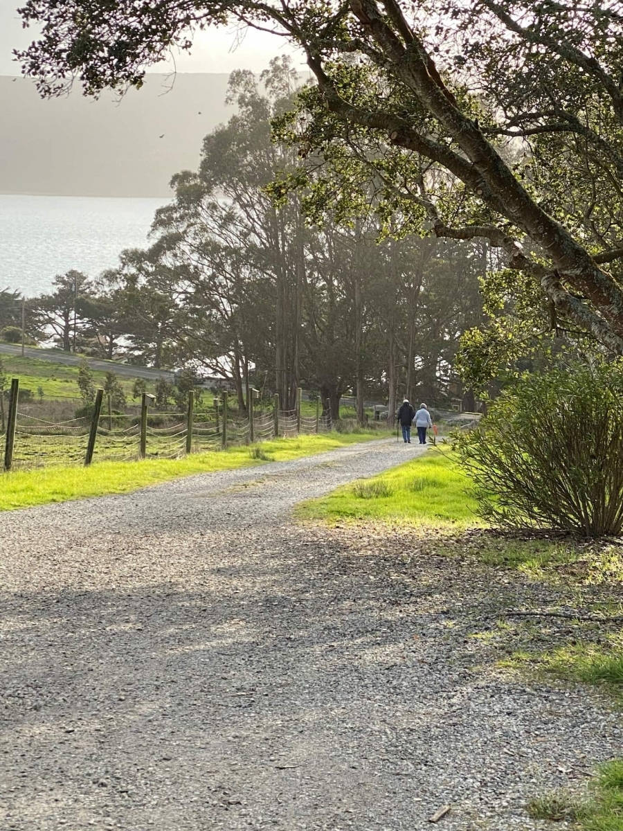 Tomales Bay Vacation Rentals Pt Reyes Waterfront Cottages Marshall Ca