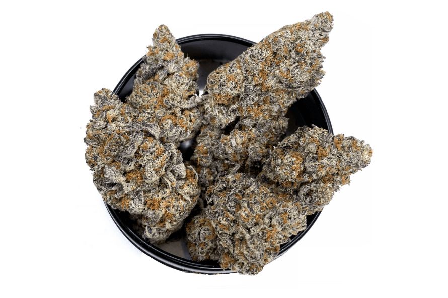 Jet Fuel Gelato strain HighTime Herbals