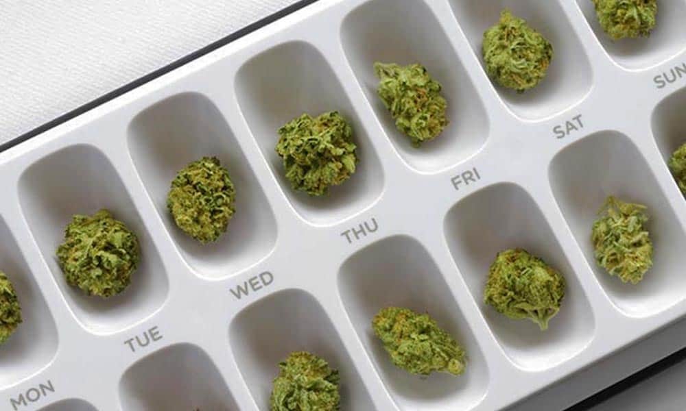 Michigan Lowers Cost Of Medical Marijuana Card Applications