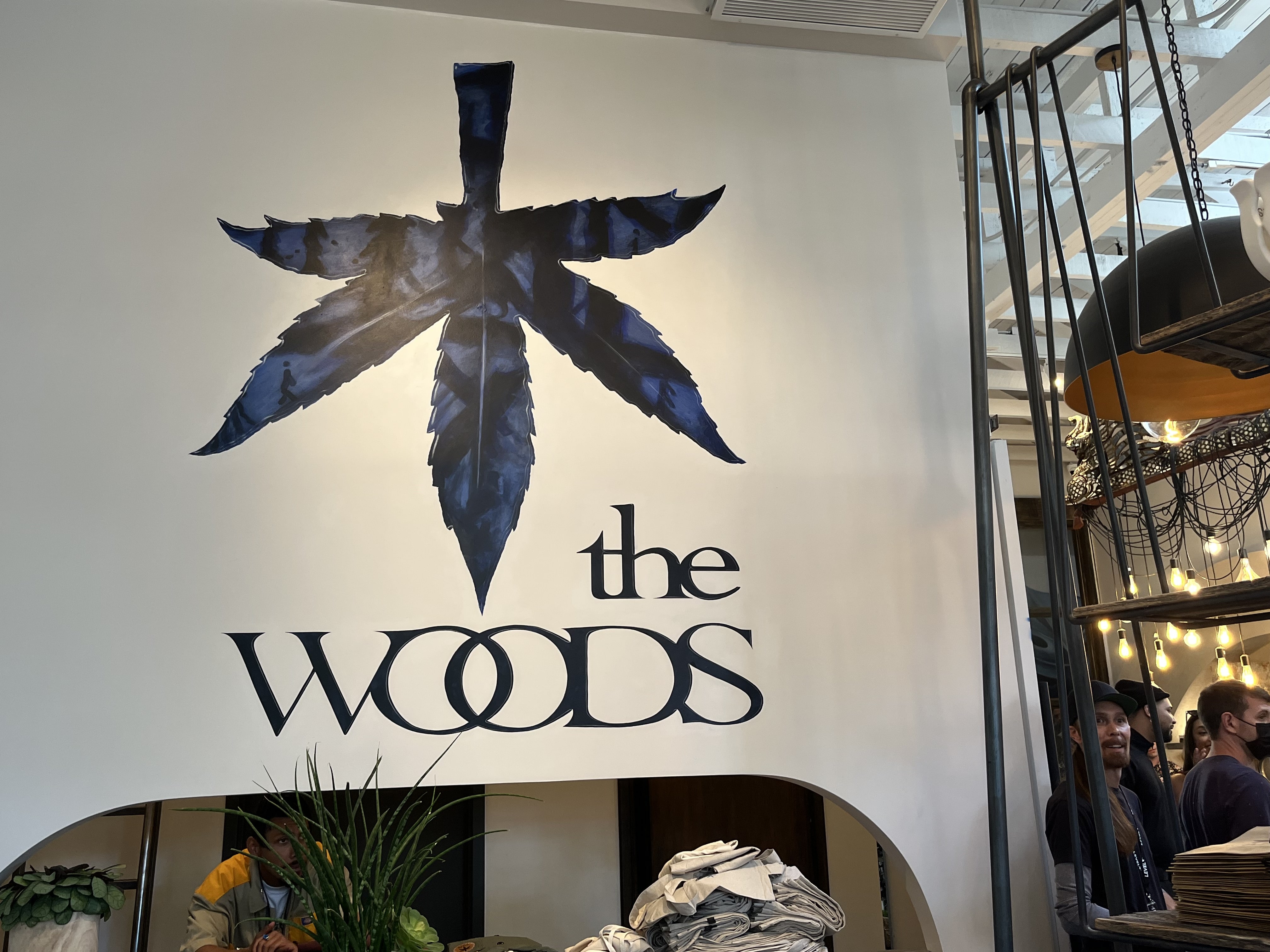 Woody Harrelson's New Cannabis Lounge, The Woods, is Open for Business