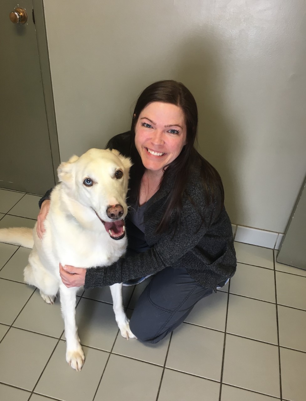 Team Thunder Bay, ON Veterinarian Animal Clinic Highview/Meadows