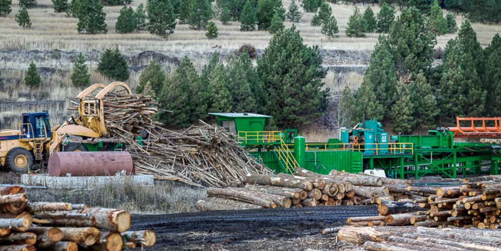 Plans 'are moving forward' to develop a biomass utilization campus at