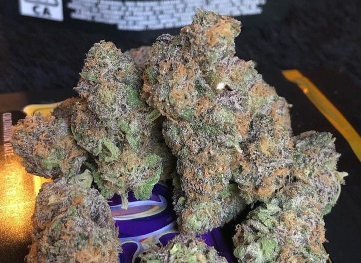 Granddaddy Purple Strain Grand Daddy Purple Review High Yields