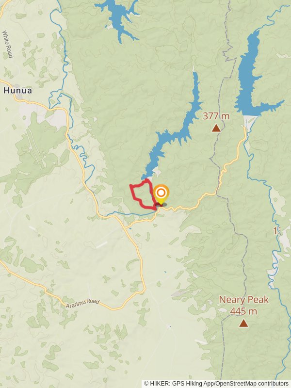 Suspension Bridge Loop Auckland New Zealand