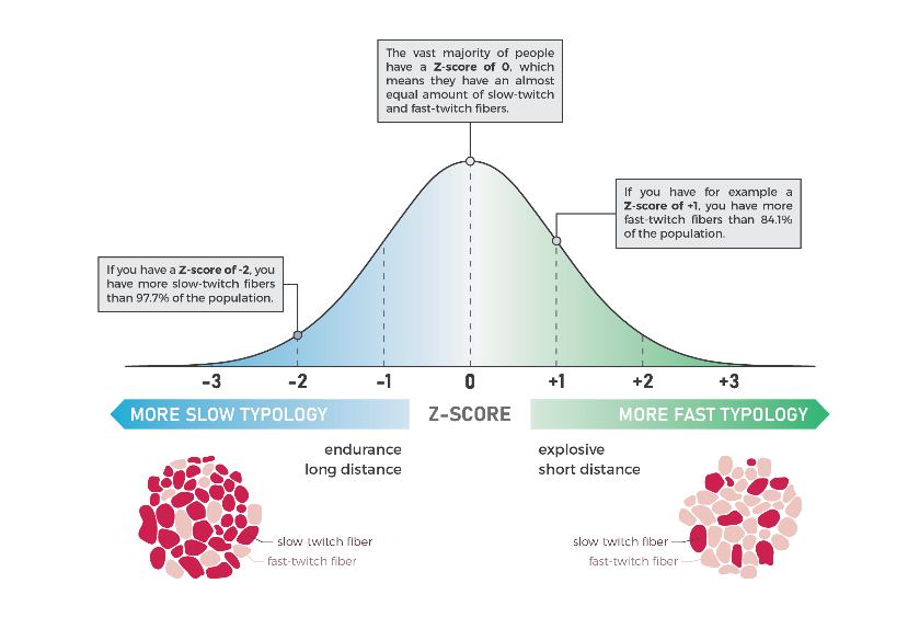 Muscle fibre typology and the individual response to training Part I