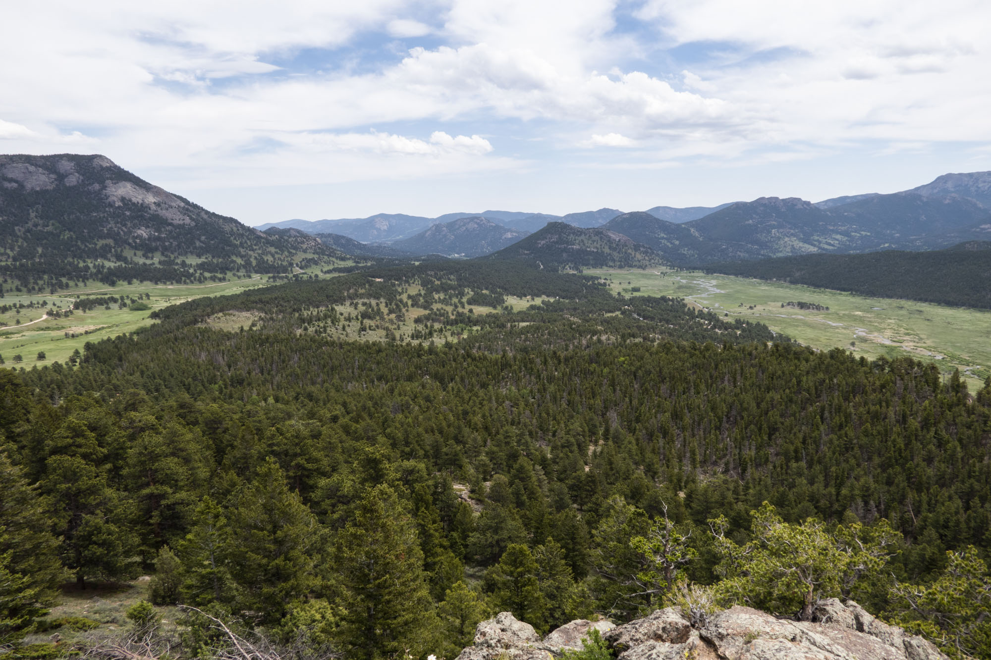 Upper Beaver Meadows Loop Hike 734