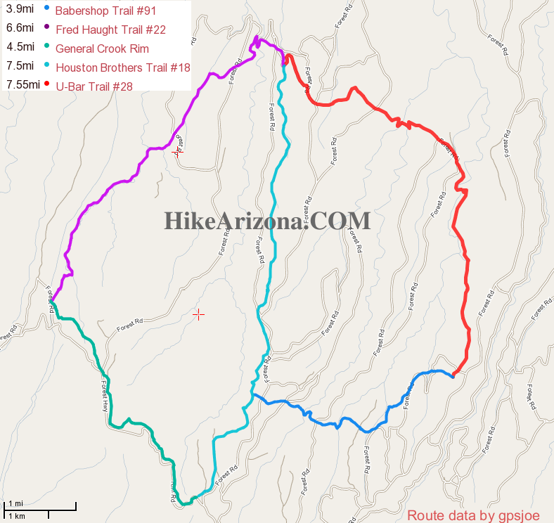 Cabin Loop Mogollon Rim, Arizona • Hiking
