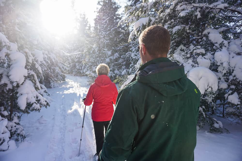 Where to Snowshoe in Kamloops? Hike Kamloops