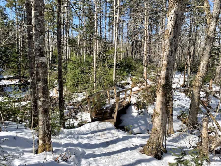 Hiking The Nine Mile River Hiking Trails, Nova Scotia Hikers Movement