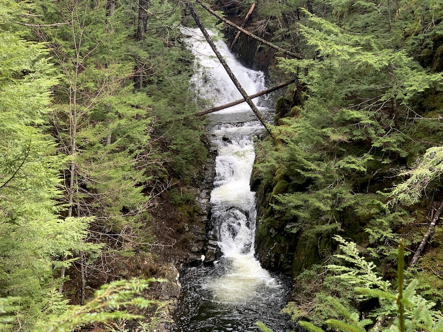 Hiking To Dawson Brook Falls (Ellershouse, Nova Scotia) Hikers Movement