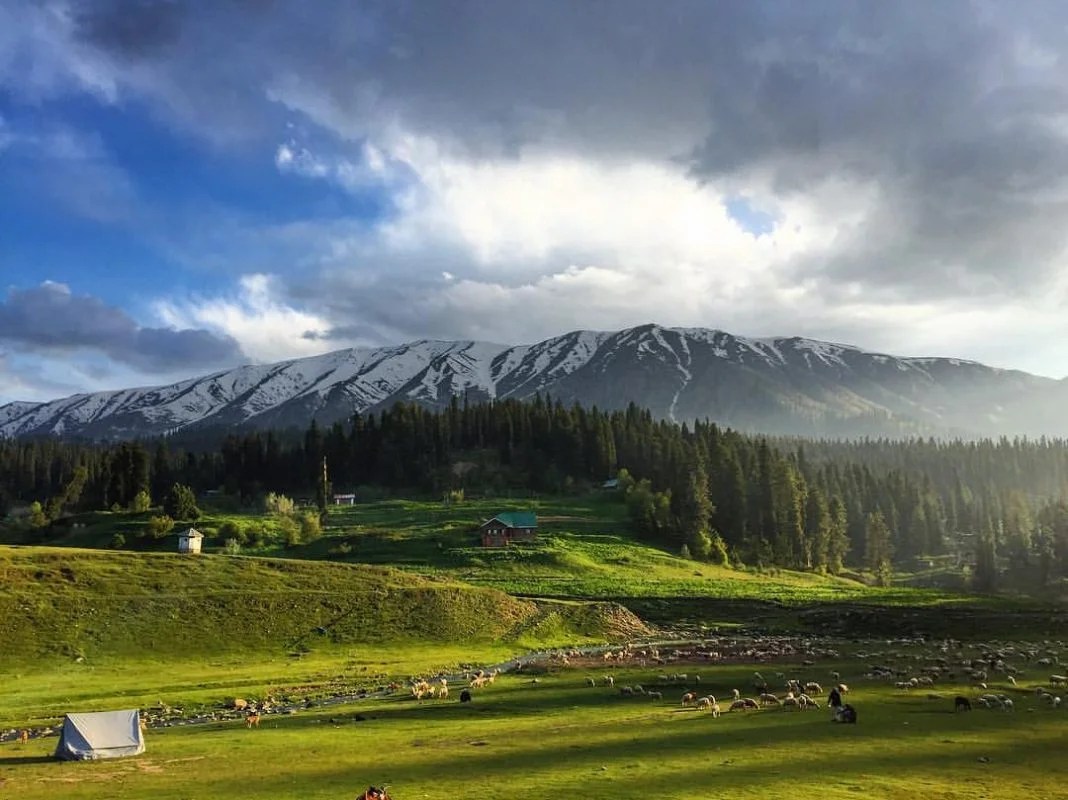 Complete Travel Guide To Gulmarg , Jammu Kashmir