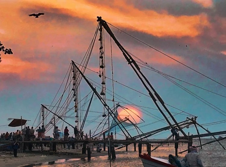 Complete Travel Guide Fort Kochi Kerala HikerWolf