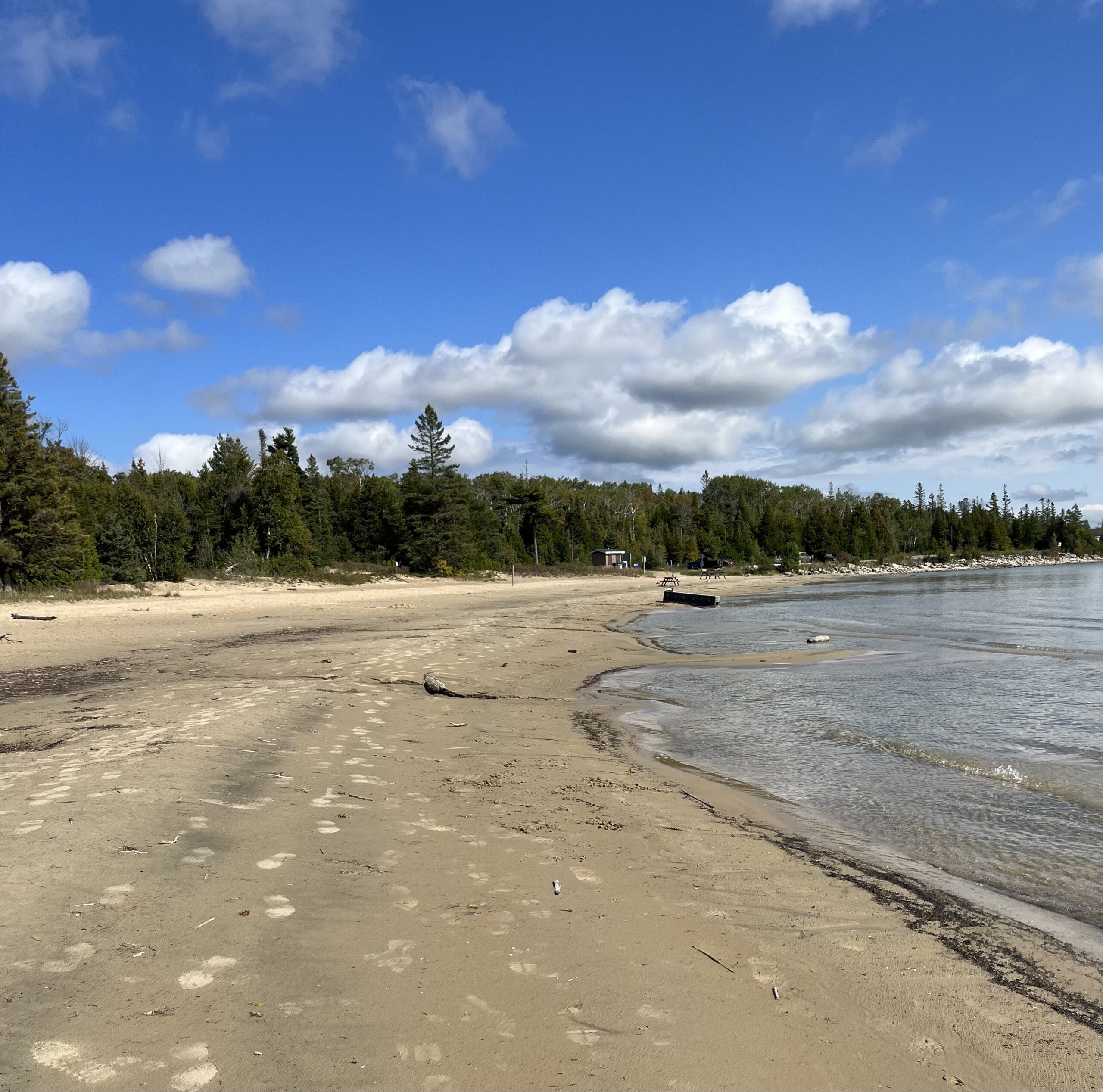 Easy Hike Black Creek Provincial Park Trail Bruce Trail Conservancy