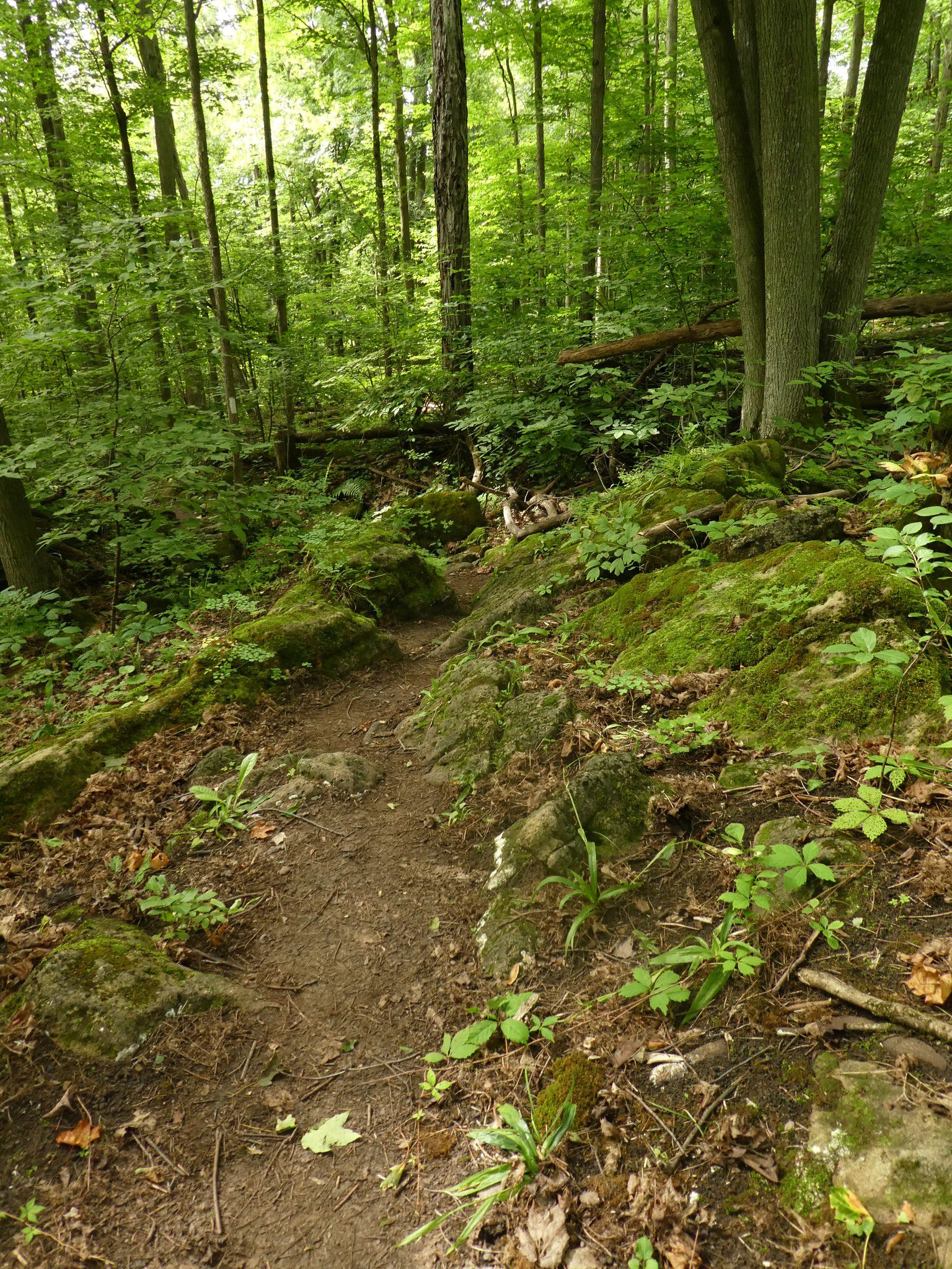 Terra Cotta/Heritage Road loop (date change because of weather) Bruce