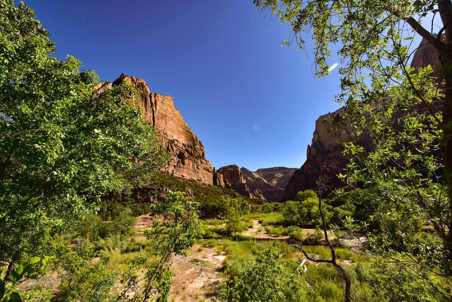 Emerald Pool Middle Zion National Park Hike St