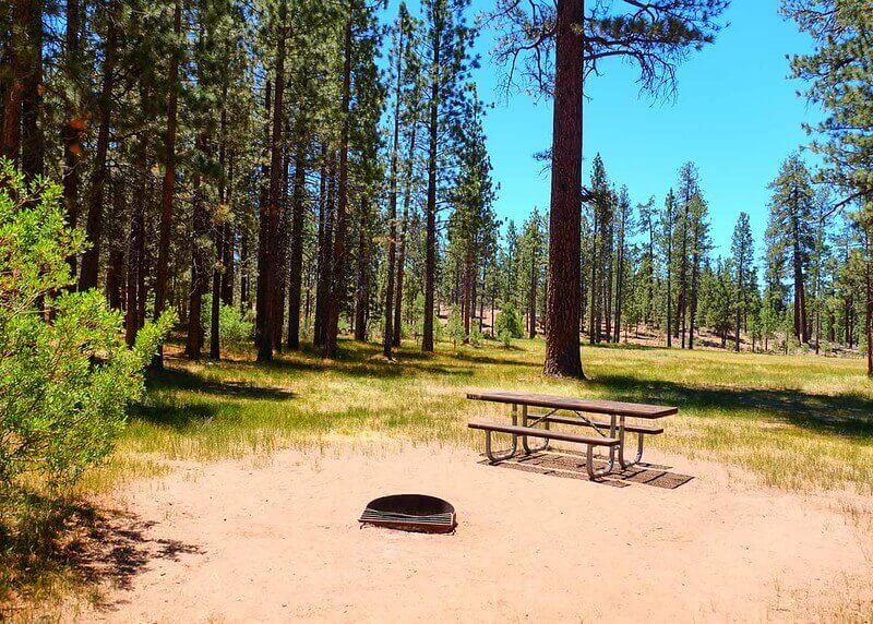 The Best Campsites Around Big Bear California Hike The