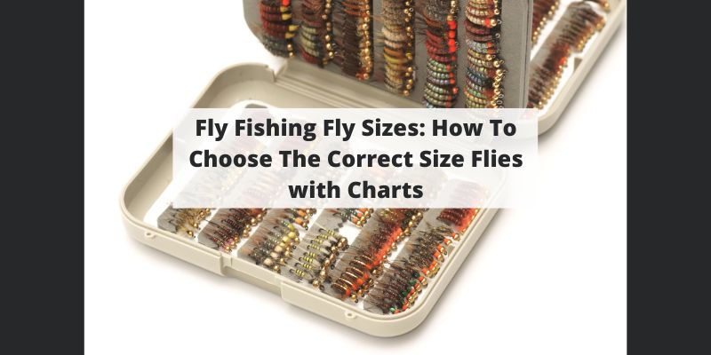 Fly Fishing Flies Size Chart