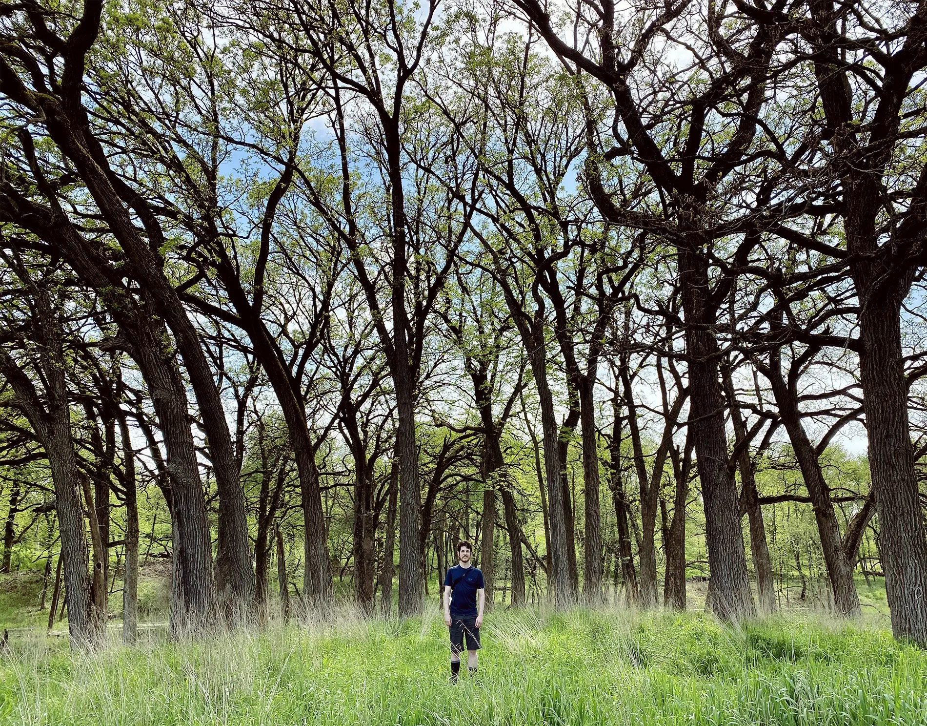 Excursion to the Spring Lake Forest Reserve in Chicago.