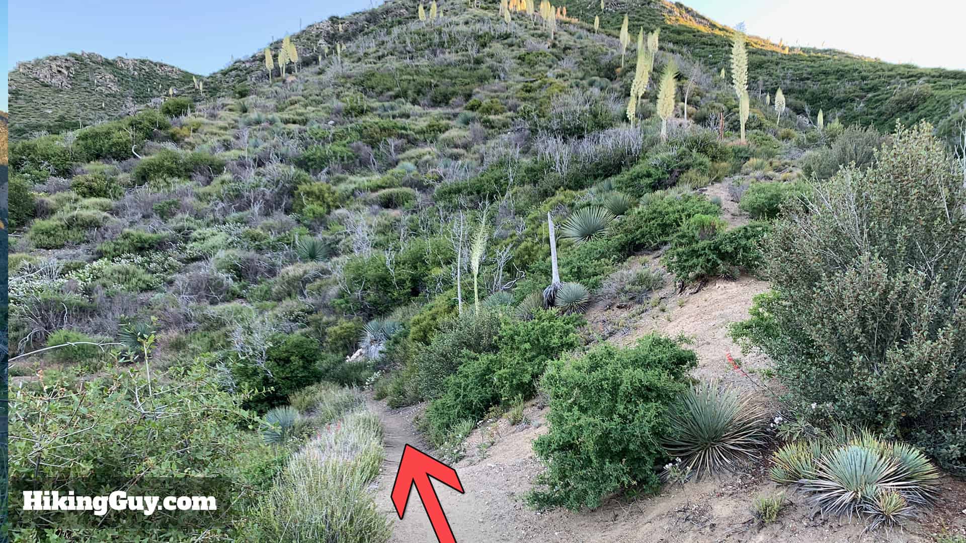 Strawberry Peak Hike