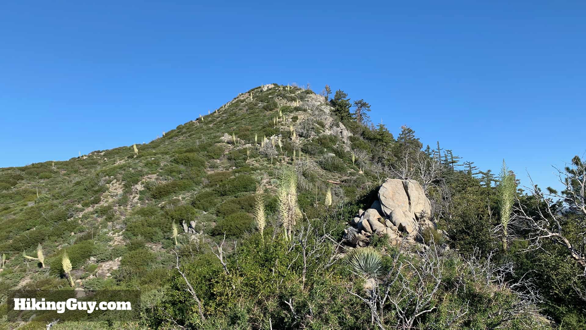 Strawberry Peak Hike (2020)