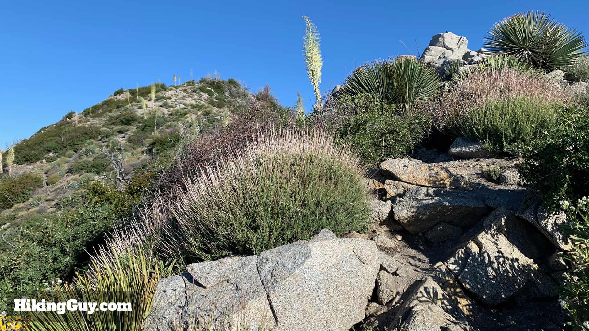 Strawberry Peak Hike