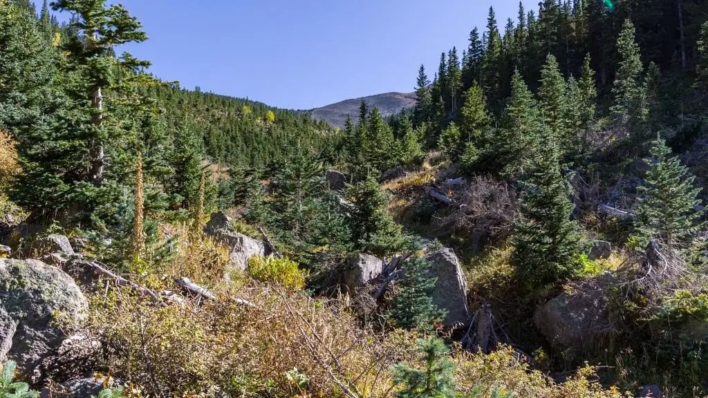 3 Best Flagstaff Hiking Trails (Easy To Reach)