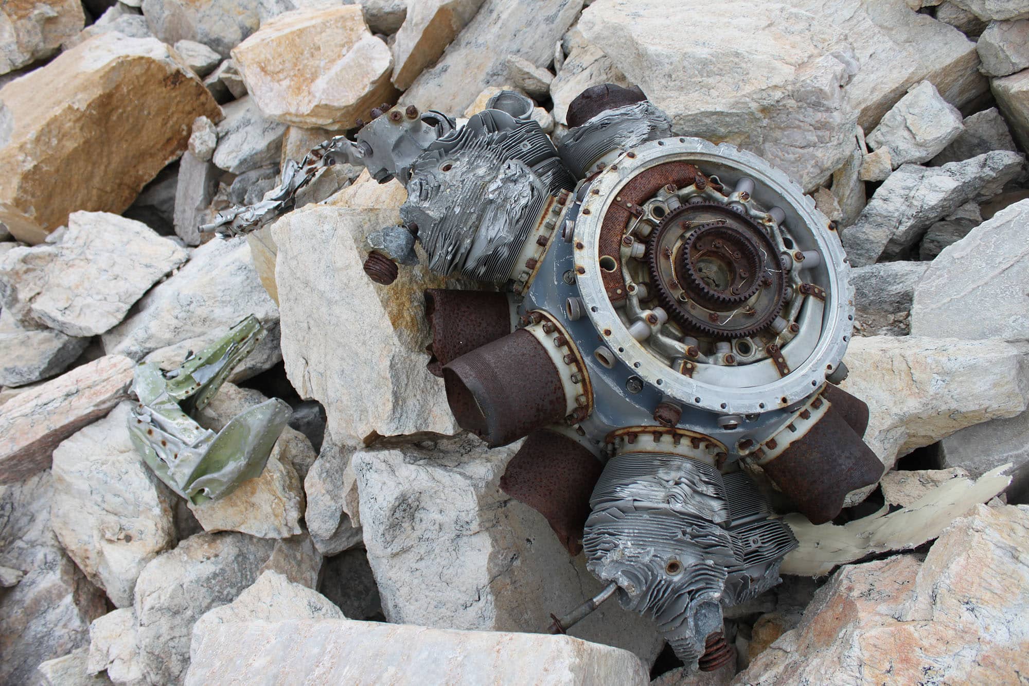 Tag medicine bow national forest