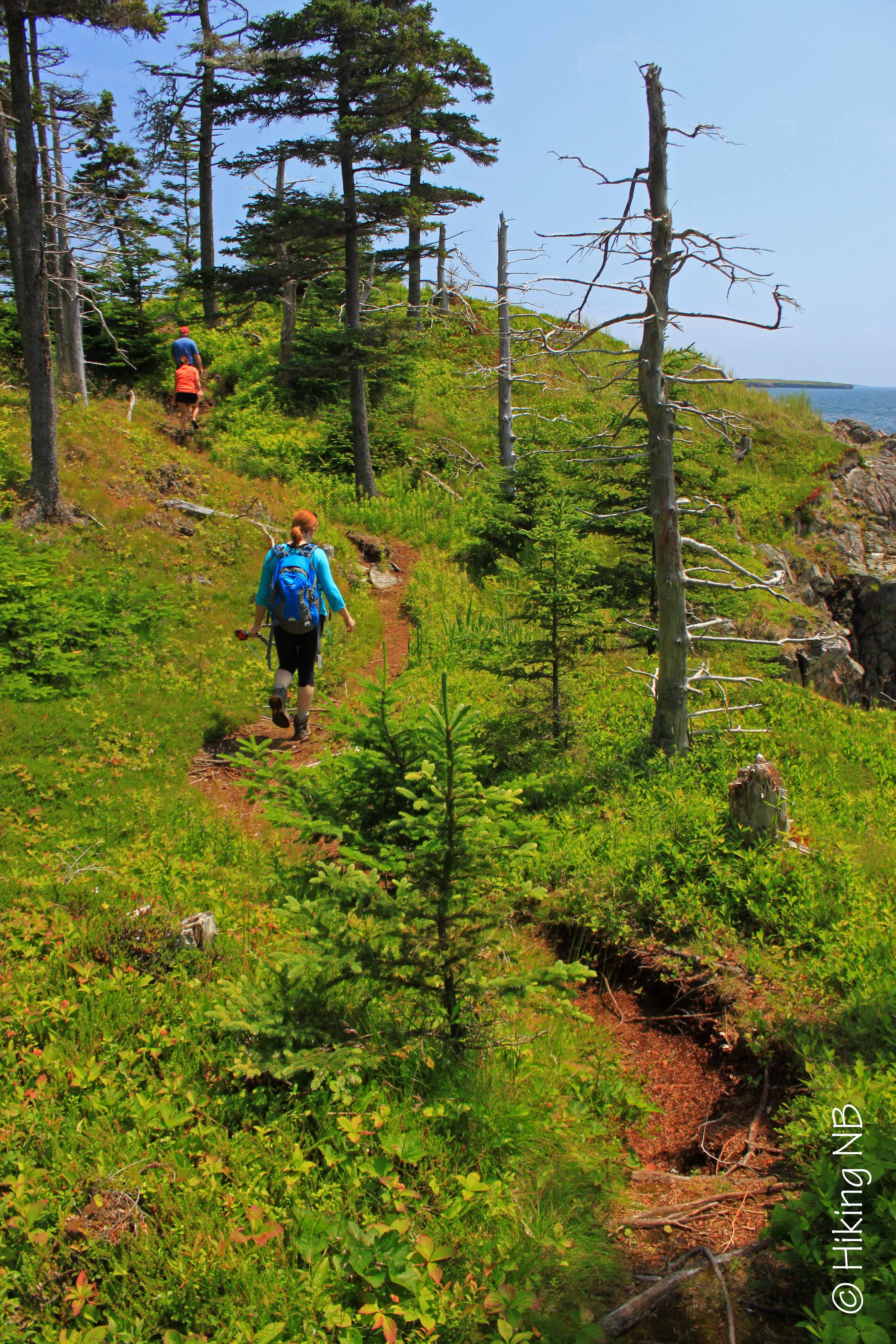 New River Beach Trails Hiking NB