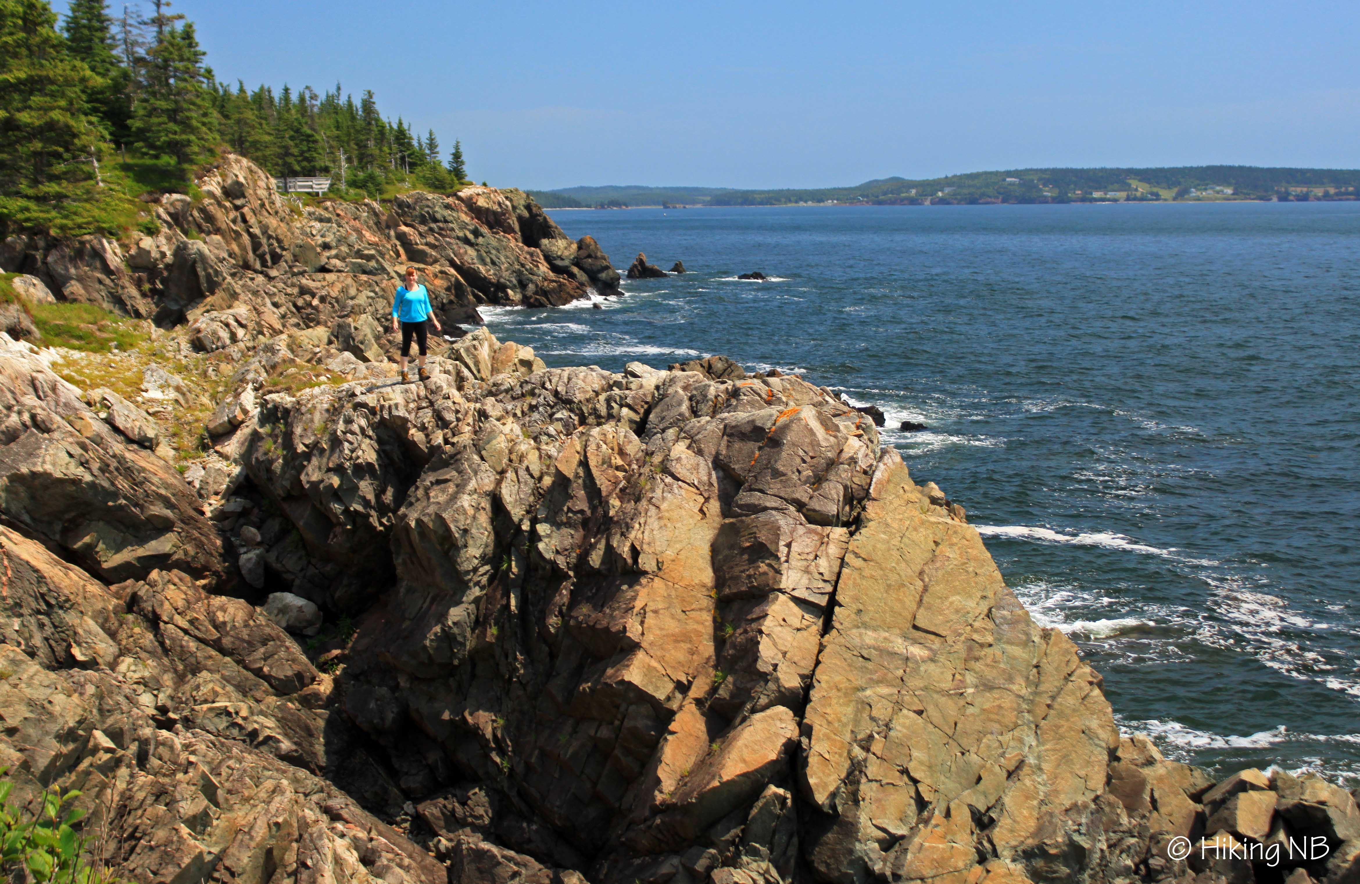 New River Beach Trails Hiking NB