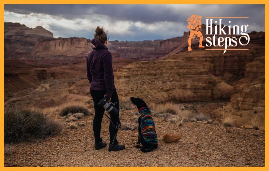 Do Dogs Need Hiking Boots? Hiking Terrains with Little Paws Hiking Steps