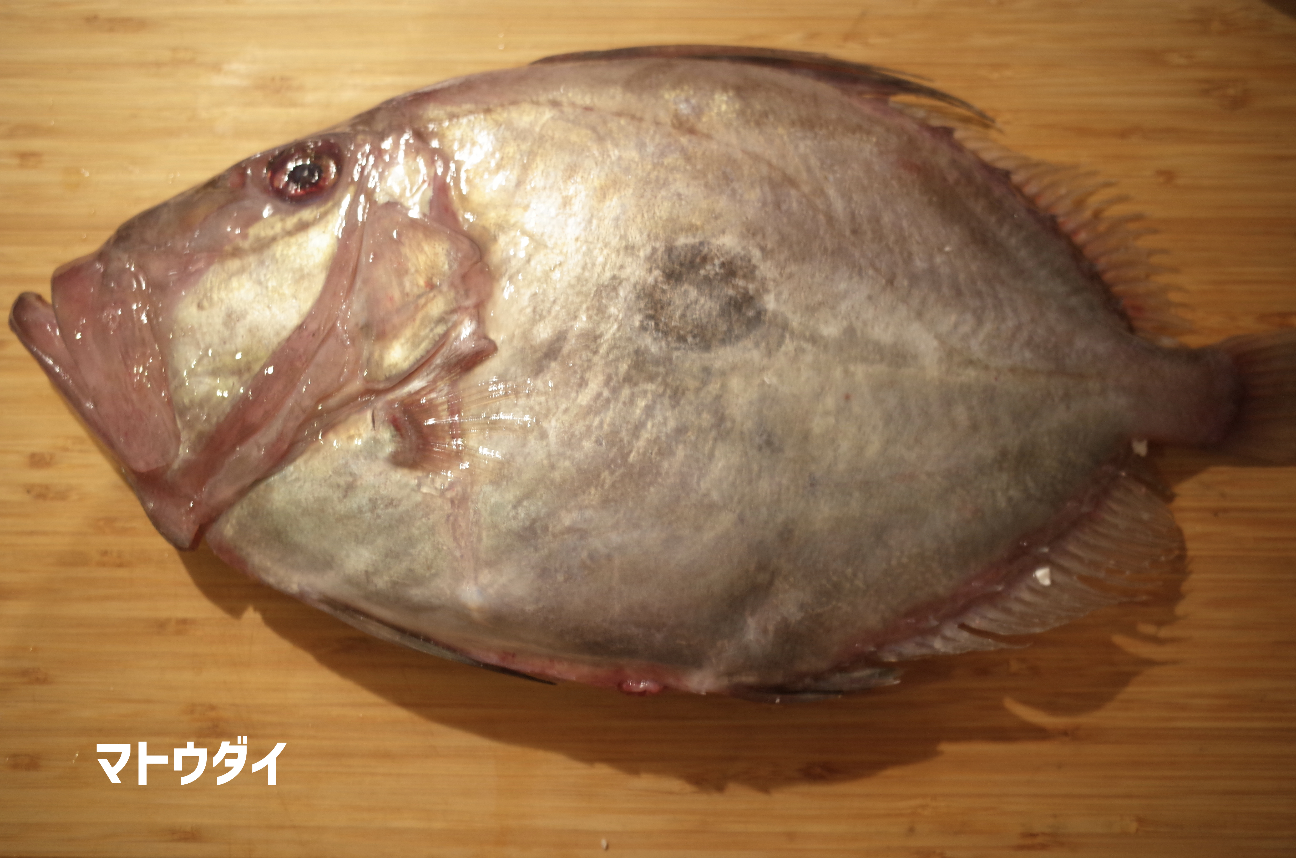 鮮魚の宅配サービス「のん気な魚屋」レビュー ひかるぶろぐ