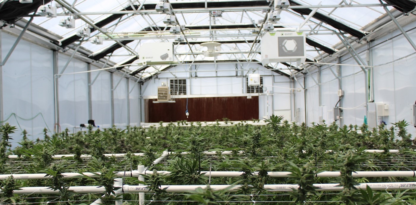 Hilco Real Estate Sales Offers StateoftheArt Cannabis Cultivation