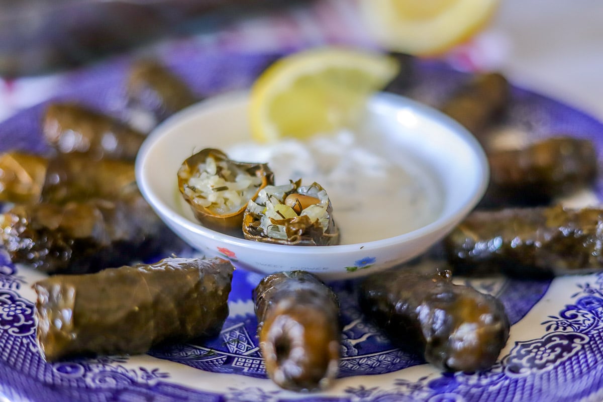 Dolmadakia (Dolmades) Stuffed Grape leaves Hilda's Kitchen Blog