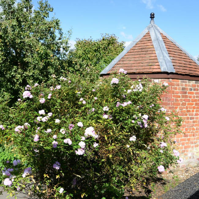 Hill Close Gardens The Hidden Hedged Gardens of Warwick