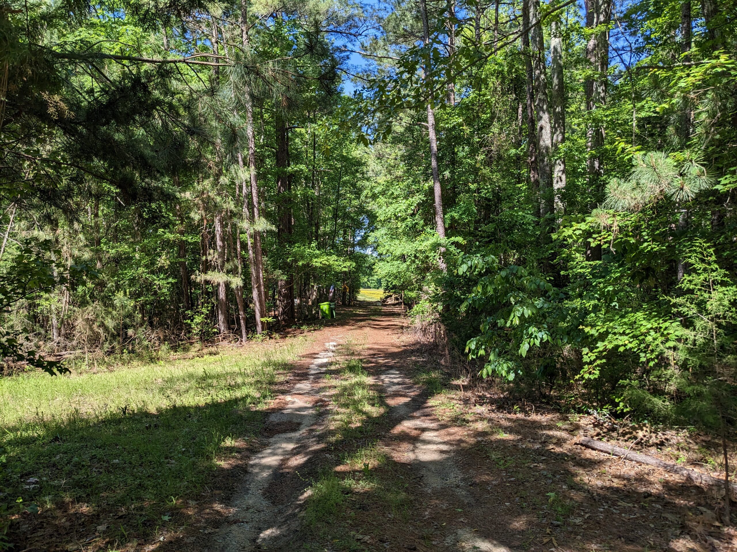 Land for Sale in South Carolina Hillcrest Land & Sales Management