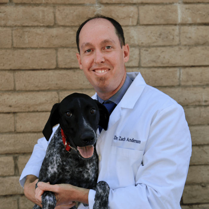 Pleasant Hill, CA 94523 Veterinarians Hillcrest Veterinary Hospital