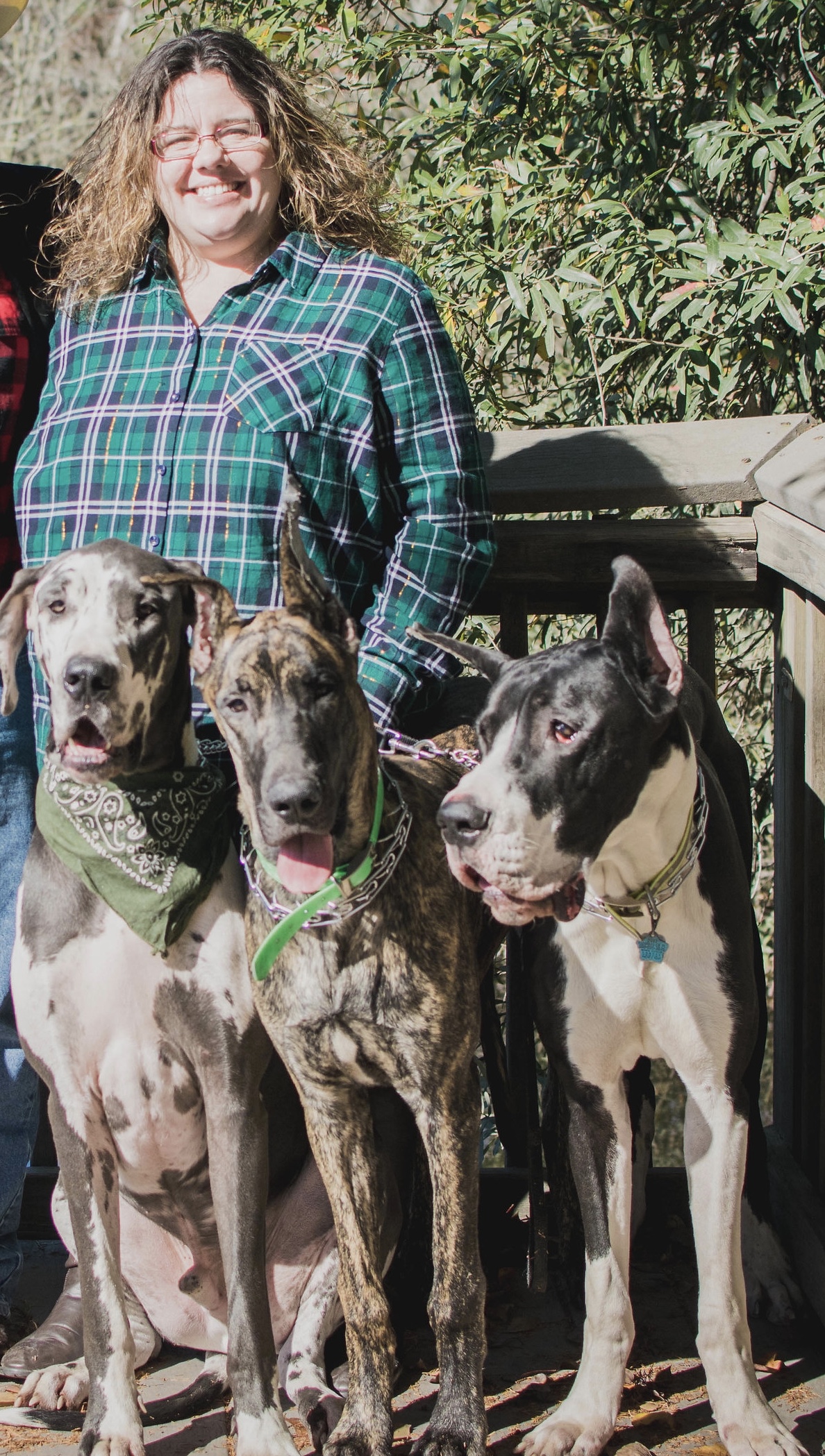 Vets In Pensacola Animal Hospital in Pensacola, FL