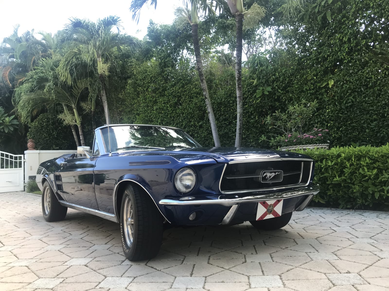 Inside the sweet rides of Hillsdale Hillsdale Collegian