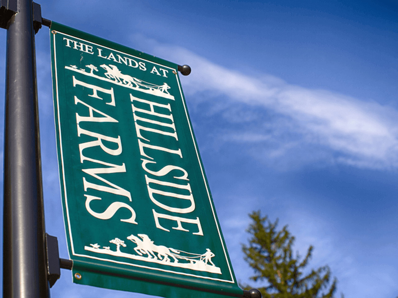 The Lands at Hillside Farms Local, Sustainable, Educational Non